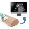 Thyroid Ultrasound Phantom (Thyroid Phantom with Vessels)-4